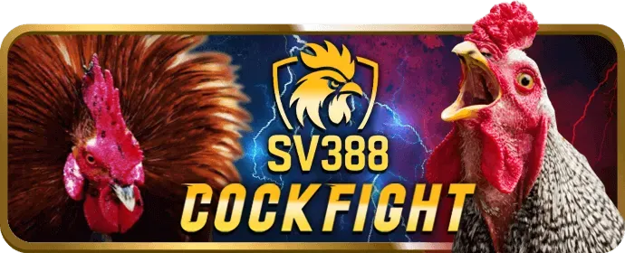 Cá cược thể thao tại 888 bet app với các trận đấu bóng đá và tỷ lệ cược trực tiếp.